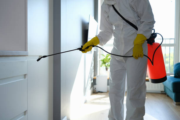 Best Kitchen Mold Remediation in Shelby, MI