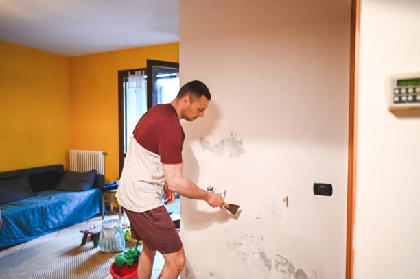 Best Residential Mold Remediation in Shelby, MI